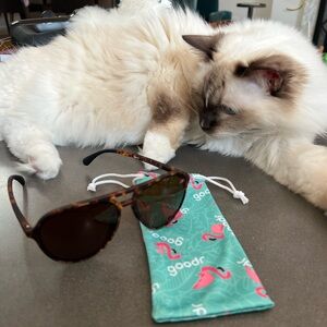 Goodr Amelia Earhart Ghosted Me Tortoise Shell Sunglasses - Great Condition